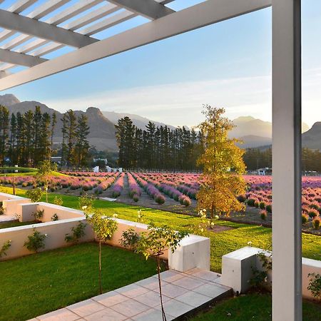 Lavender Farm Boutique Guest House Franschhoek Exteriér fotografie