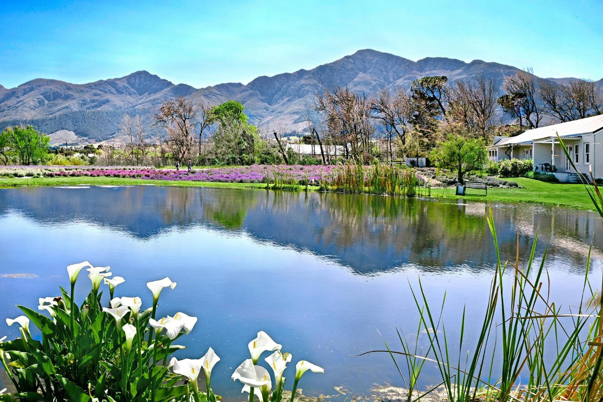 Lavender Farm Boutique Guest House Franschhoek Exteriér fotografie