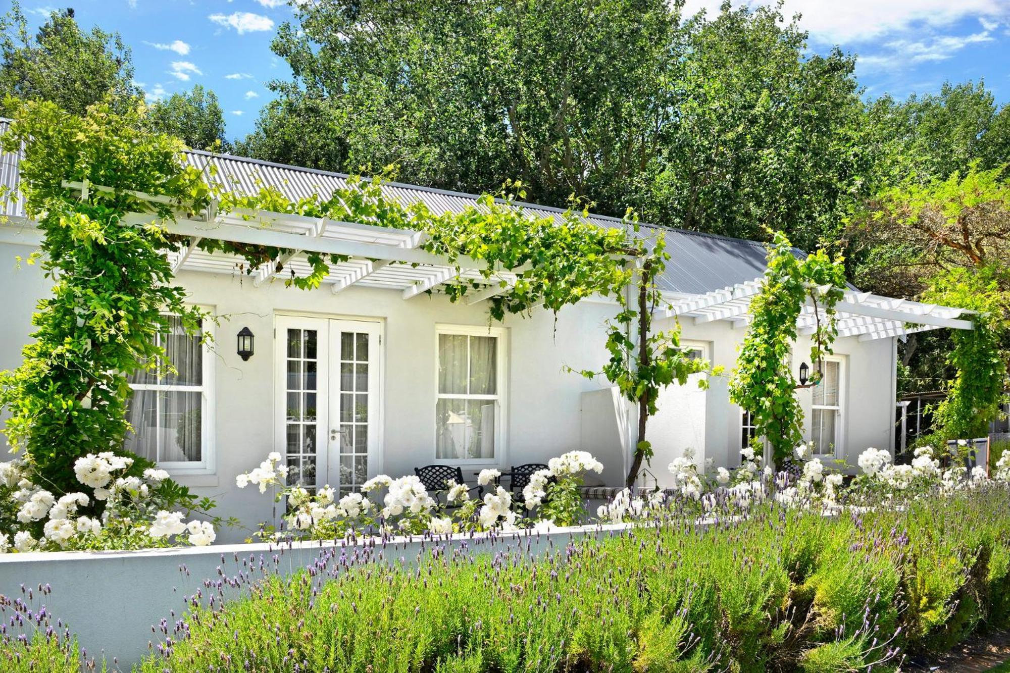 Lavender Farm Boutique Guest House Franschhoek Exteriér fotografie