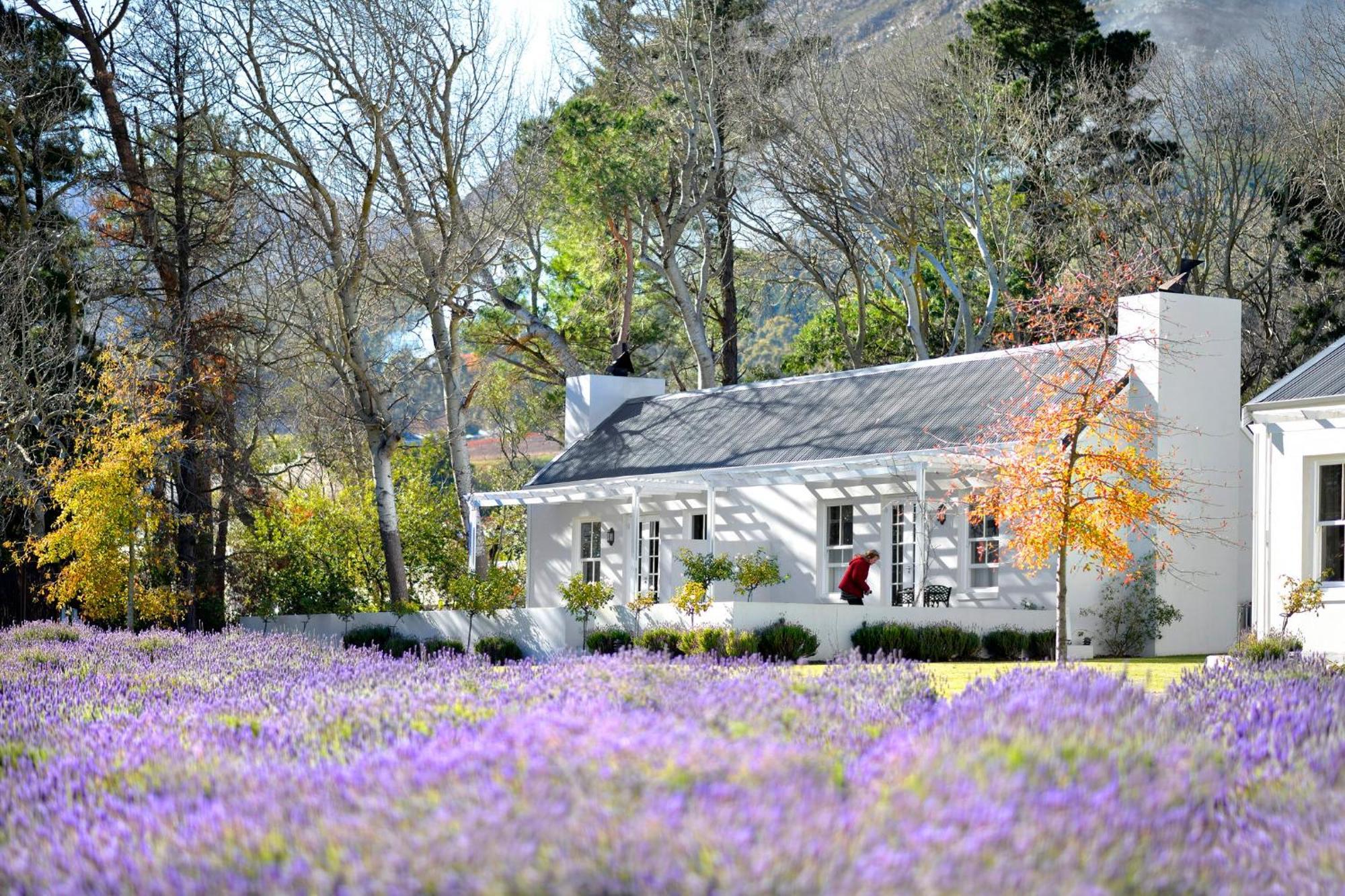 Lavender Farm Boutique Guest House Franschhoek Exteriér fotografie