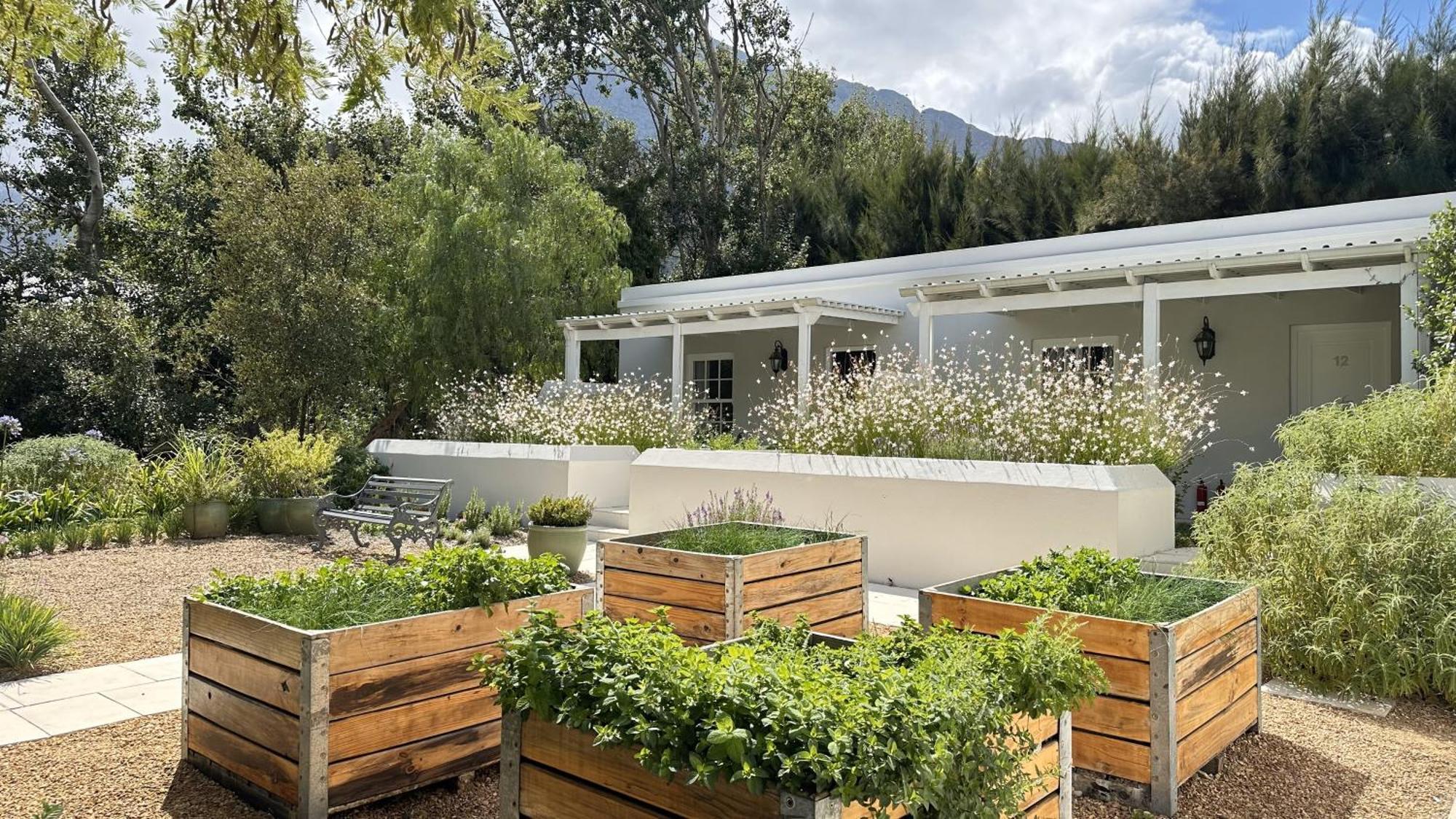 Lavender Farm Boutique Guest House Franschhoek Exteriér fotografie