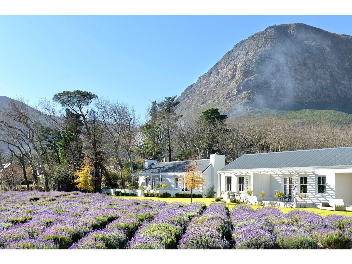 Lavender Farm Boutique Guest House Franschhoek Exteriér fotografie