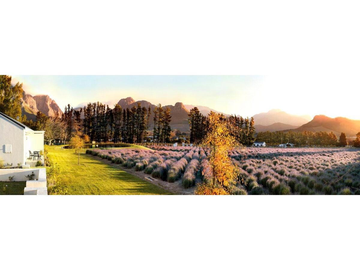 Lavender Farm Boutique Guest House Franschhoek Exteriér fotografie
