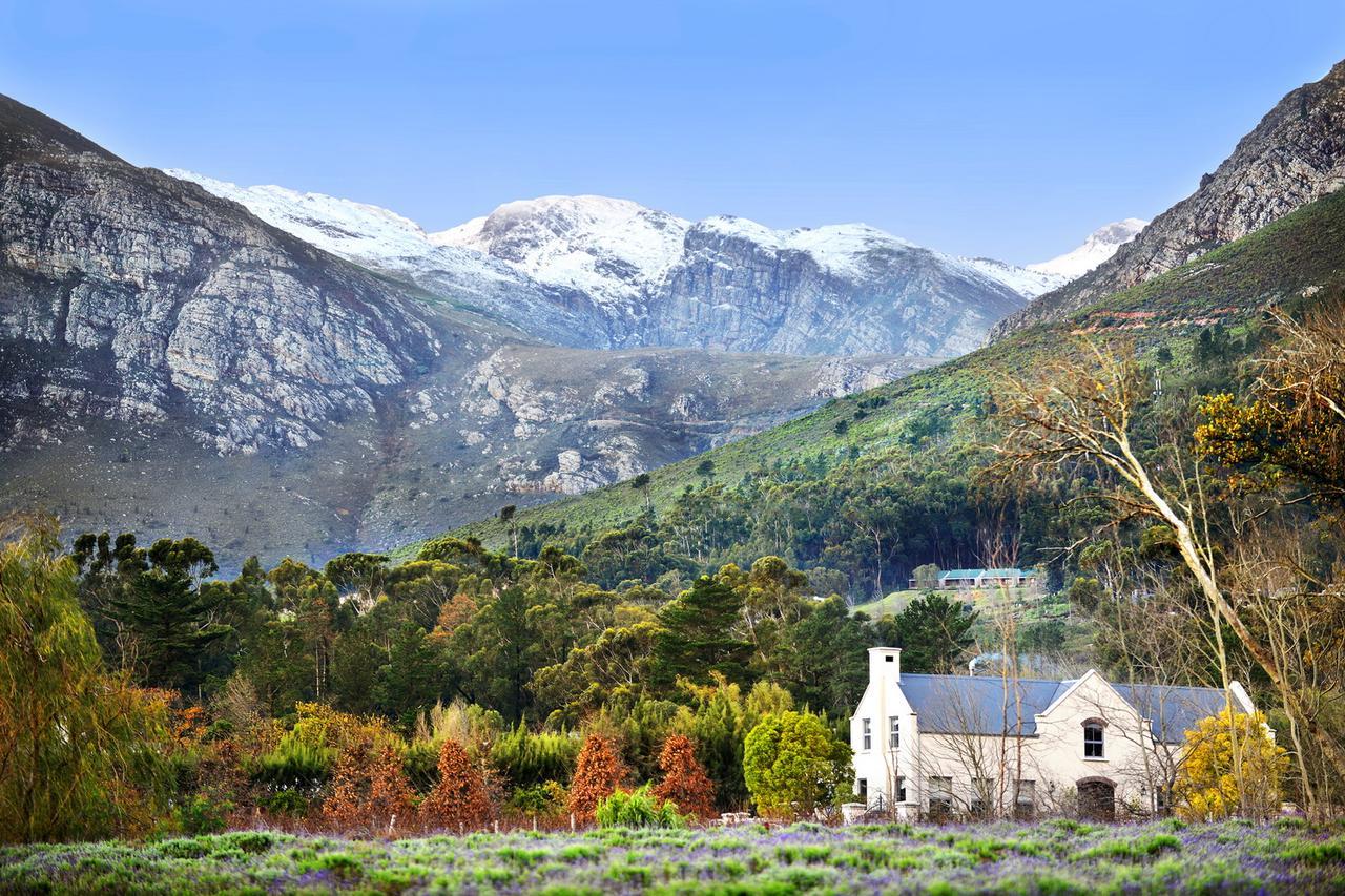 Lavender Farm Boutique Guest House Franschhoek Exteriér fotografie
