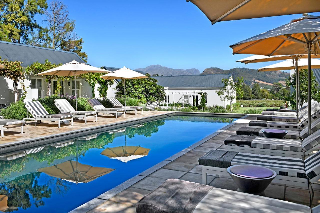 Lavender Farm Boutique Guest House Franschhoek Exteriér fotografie