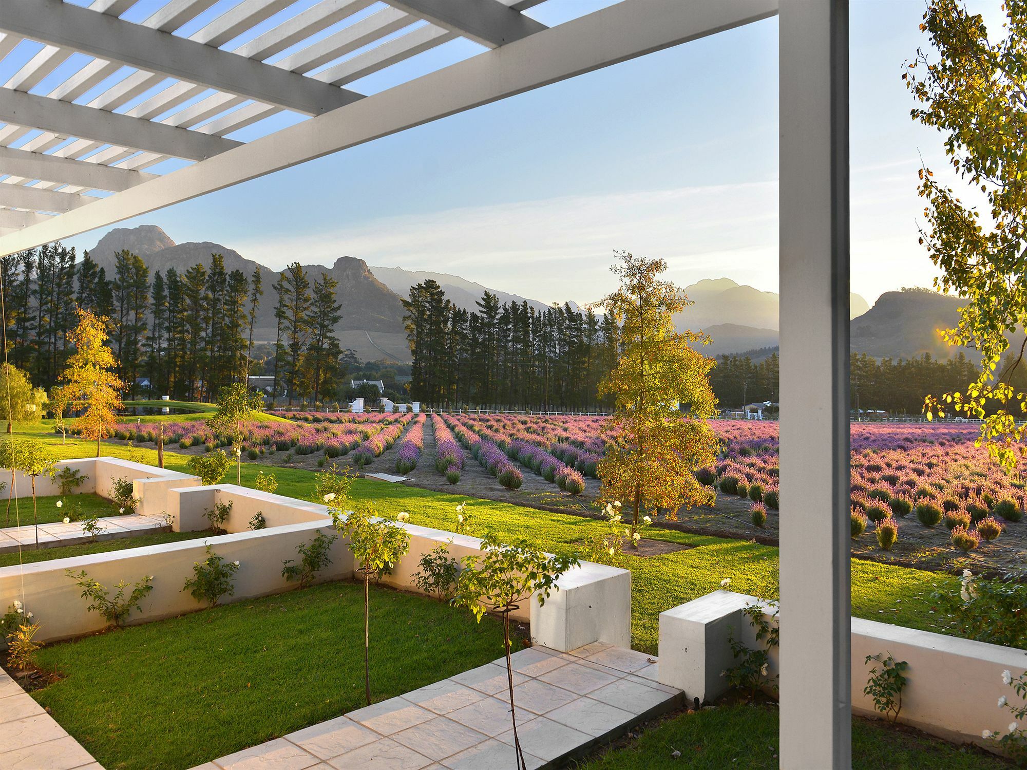Lavender Farm Boutique Guest House Franschhoek Exteriér fotografie